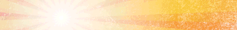BRF17 Banner