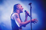 Disciple