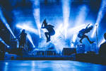 Disciple