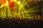 Disciple