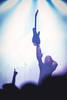 Disciple